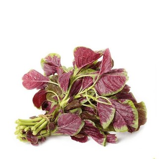 Hạt Giống Rau Dền