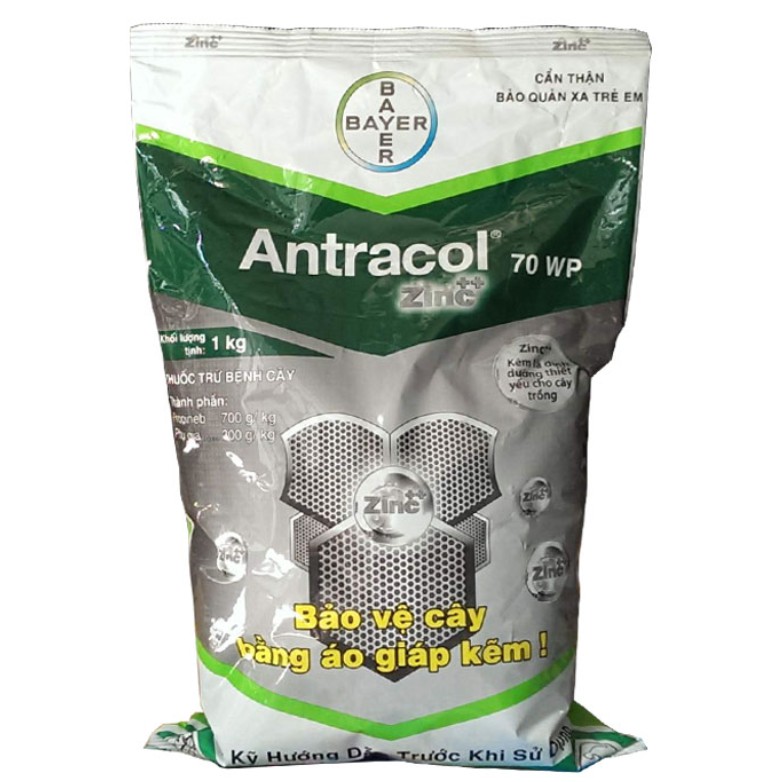 Thuốc trừ bệnh Antracol 70WP, áo giáp bảo vệ cây trồng