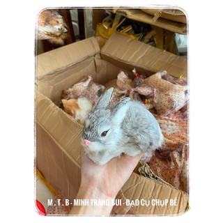thỏ đạo cụ chụp hình bé