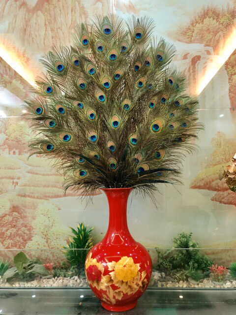 combo lông công khách đặt theo yêu cầu | BigBuy360 - bigbuy360.vn