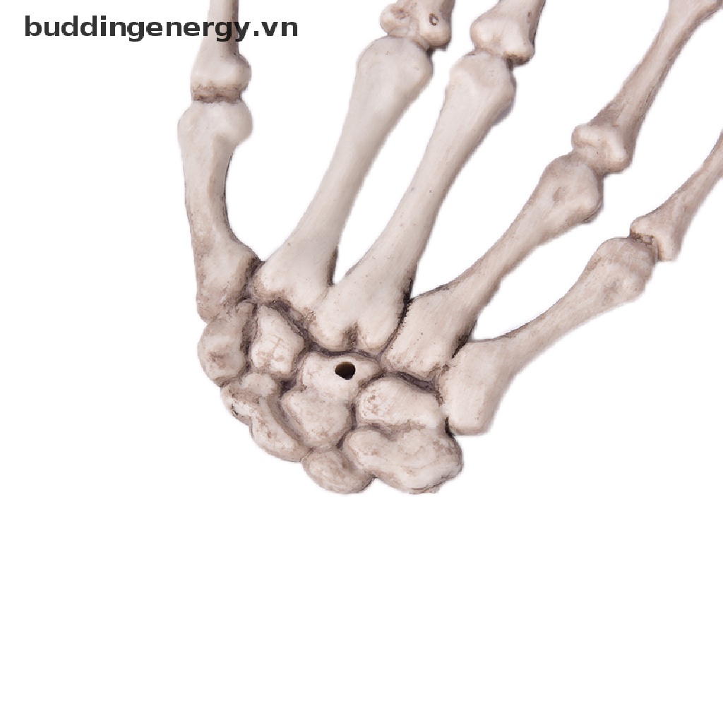 {BUDDI} Bộ Xương Bàn Tay Hóa Trang Halloween Kinh Dị Cho Người Lớn