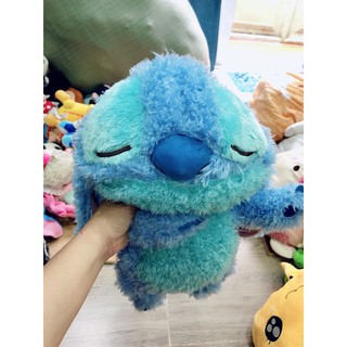 Gấu bông của chị nở