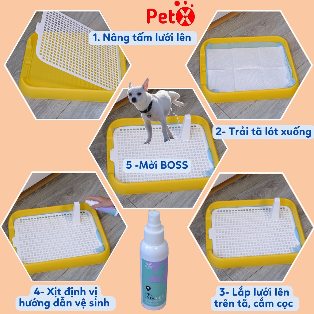 Khay vệ sinh cho chó cái đực nhỏ thành thấp 45x36x5.5cm PetX