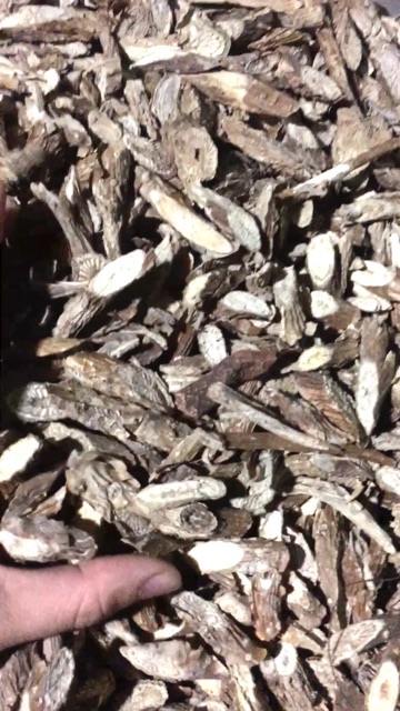 1Kg Dây Đau Xương Khô, thái lát