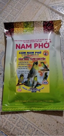 Cám Chim Vành Khuyên Nam Phở