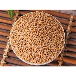 Bạch giới tử - hạt cải Tây Tạng - Cúng Khói (500gram) [PBMC]