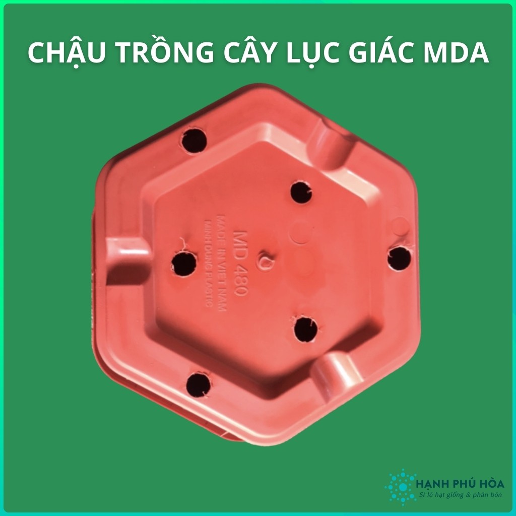 Chậu Lục Giác MDA-Viền gạch -Trồng Hoa Lan, Cây Kiểng - Chậu Nhựa , Đẹp, Nhẹ, Chắc Chắn