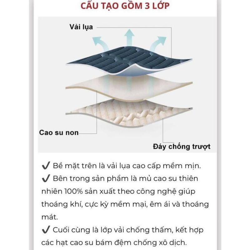 Chiếu điều hòa chiếu cao su non MODERN Chiếu cao su non TENCLE Tặng kèm 1 thảm lau chân + 2 vỏ gối cùng màu size 1m6x2m