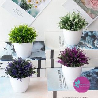 Chậu lá cỏ bonsai giả để bàn nhiều màu (kèm chậu cắm sẵn)-Chậu hoa để bàn-Hoa giả trang trí nhà hàng cafe