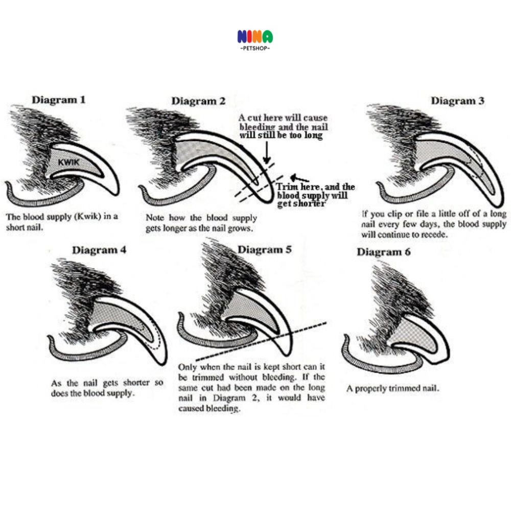 Kéo  kìm bấm cắt móng cho chó mèo thú cưng cún kèm dũa móng chân Nina pet shop