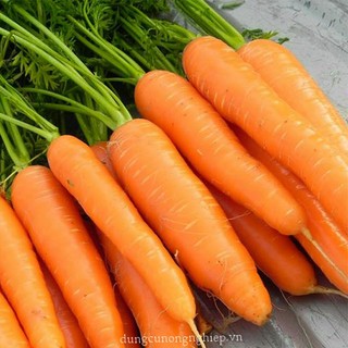 5gr - HẠT GIỐNG CÀ RỐT F1