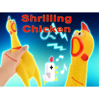 Gà trống thét shriling chicken 40cm