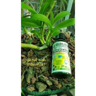 Phân bón SuperThrive 50ml Kích thích sinh trưởng cây trồng