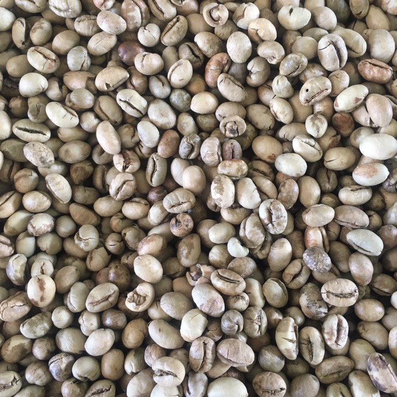 Cà phê Robusta Đăk Nông | BigBuy360 - bigbuy360.vn