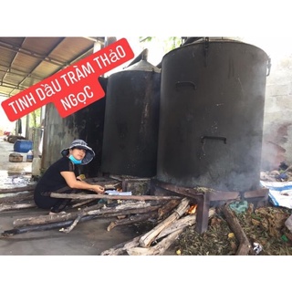 1 chai Tinh dầu tràm thảo ngọc