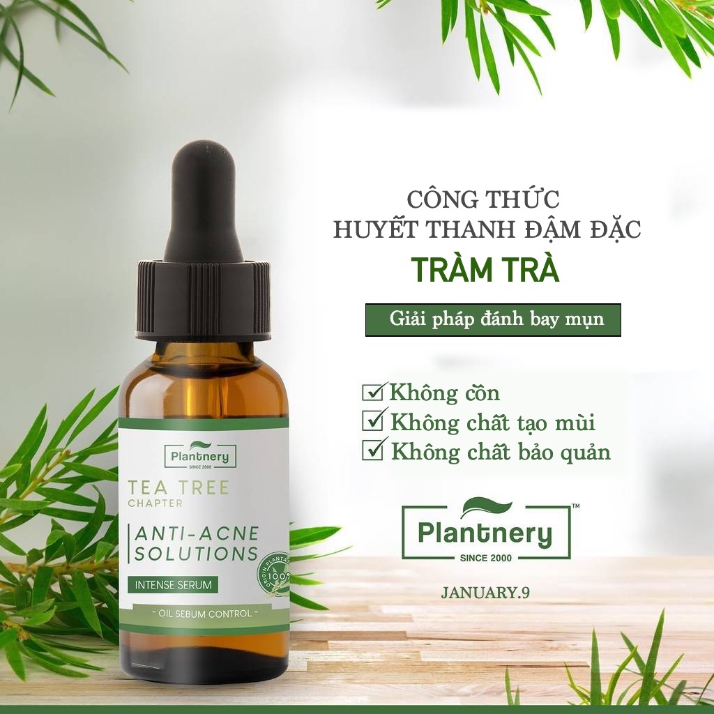Serum Tràm Trà dành cho da mụn & nhạy cảm, kiểm soát bã nhờn. Plantnery Tea Tree Intense Serum 30 ml