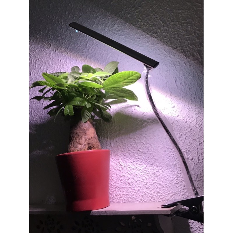 Đèn led quang hợp Zako trồng sen đá xương rồng, môn kiểng… trong nhà, đê bàn có đế kẹp tiện lợi