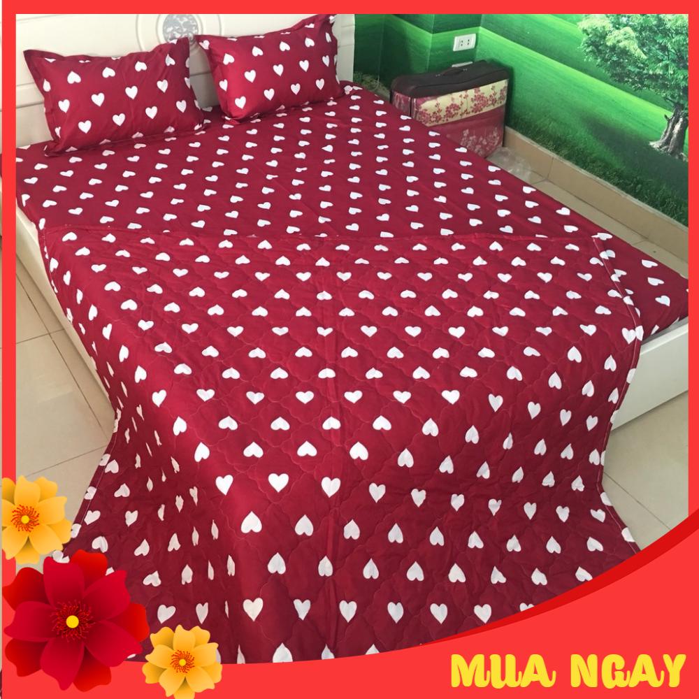 Bộ Chăn Hè Ga Gối, Drap Giường 5 Món Mẫu Tim Đỏ Changa