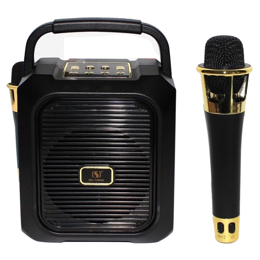 Mic Hát KARAOKE BLUETOOTH SD501 A19 20W  Giá Siêu Rẻ