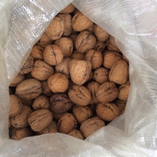 1kg Óc chó tim vàng mỹ