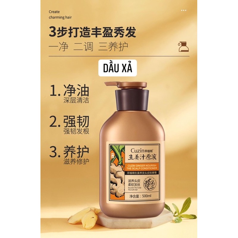 Dầu gội củ gừng | BigBuy360 - bigbuy360.vn