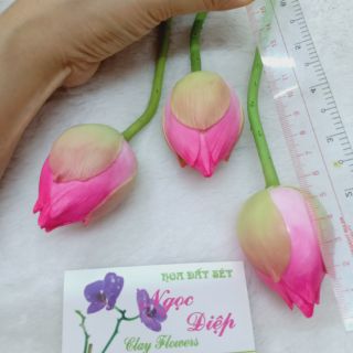 3 CÀNH NỤ SEN ĐẤT SÉT (60CM)