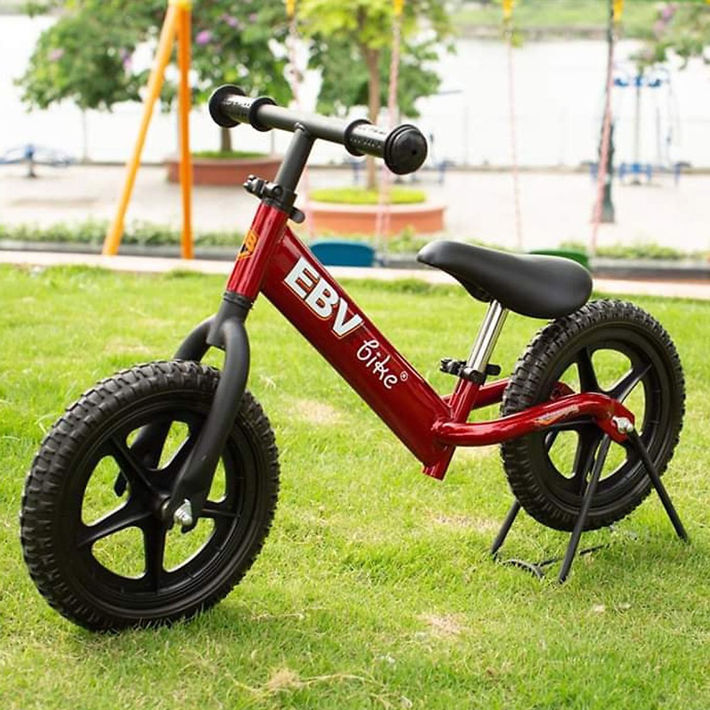 Xe thăng bằng EBV Pro