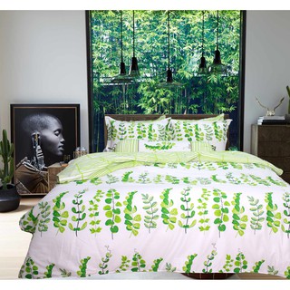 Bộ chăn ga gối drap giường 100% cotton sợi bông Hàn Quốc Julia 258