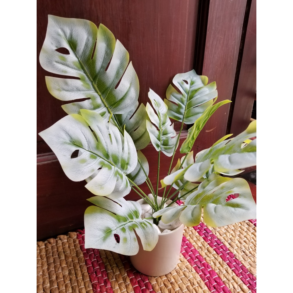 CÂY TRẦU BÀ LÁ XẺ  cây giả nhân tạo bằng nhựa tự nhiên như thật Để Bàn Trang Trí