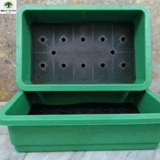 Combo 10 khay trồng rau 65cm x 42cm x 16cm màu xanh lá cây