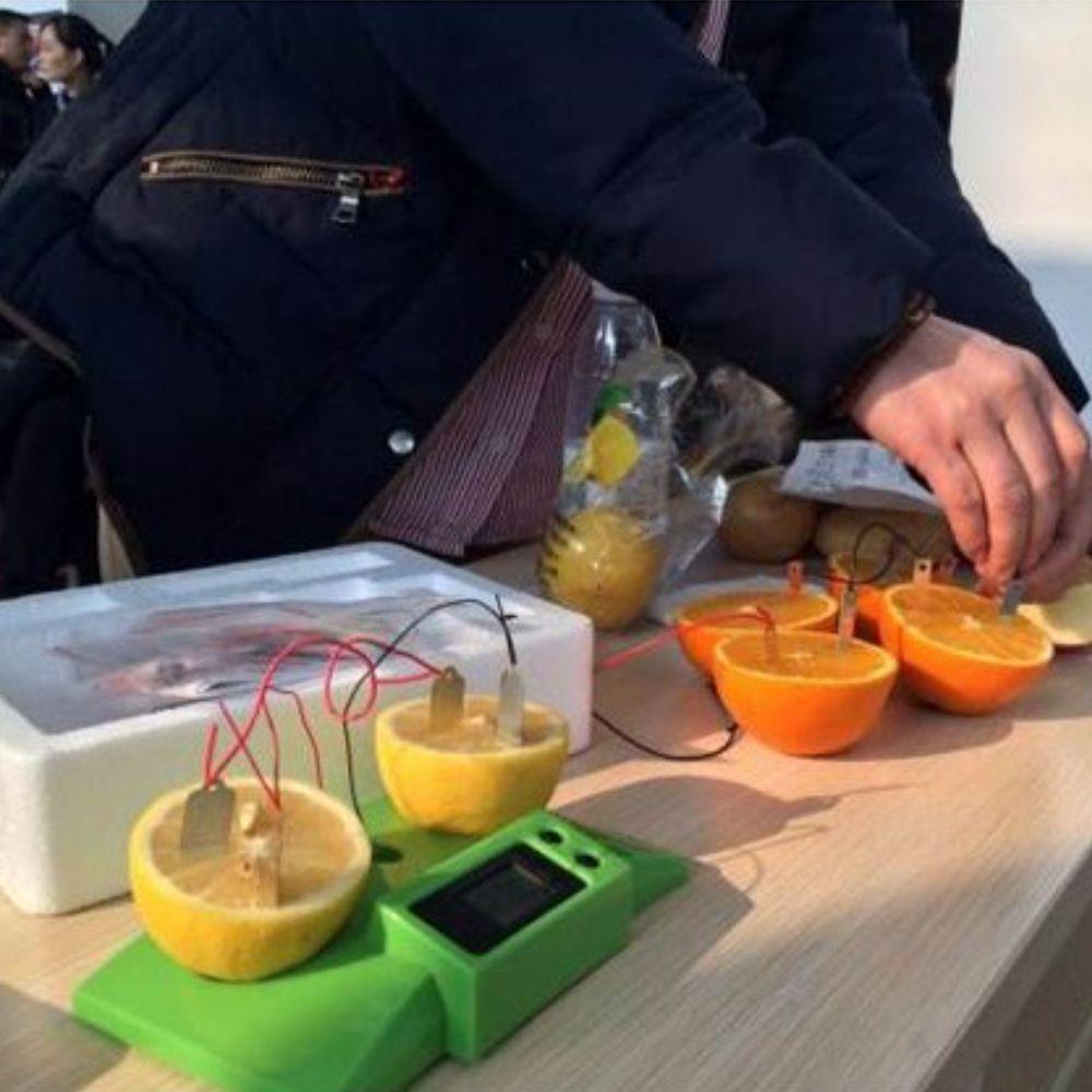 Bộ Dụng Cụ Thí Nghiệm Khoai Tây Biologia Khoai Tây Năng Lượng Cho Giáo Viên