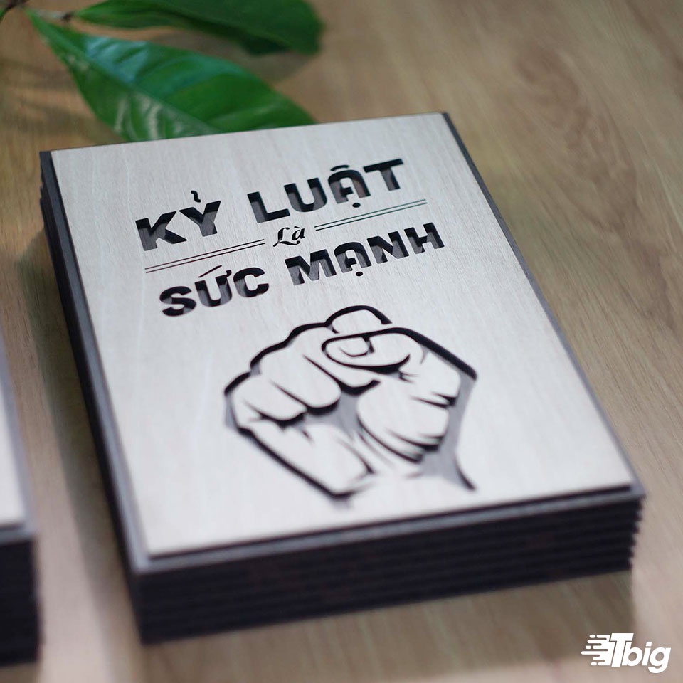 Tranh động lực TBIG128: Kỷ luật là sức mạnh 20x27cm