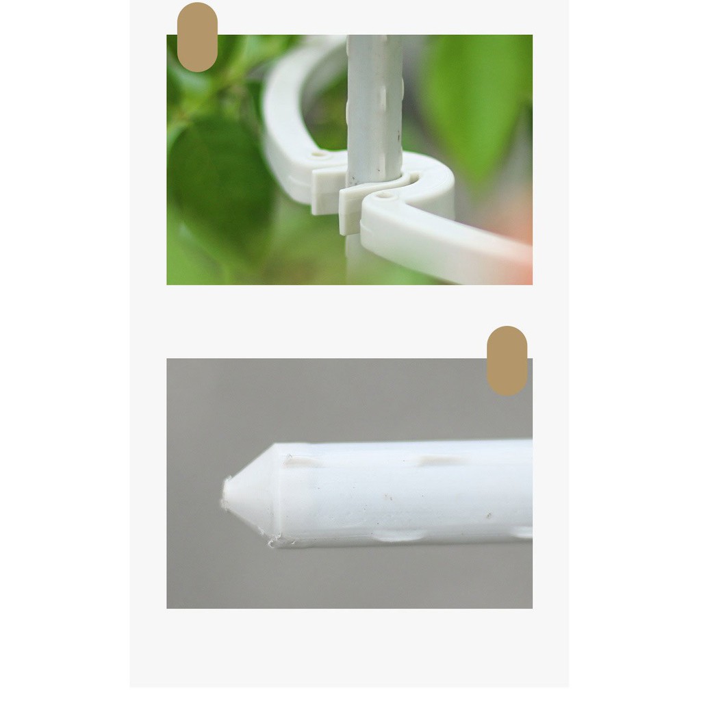 Khung đỡ màu trắng cho cây leo và hoa Hồng 1.2m.1.5m