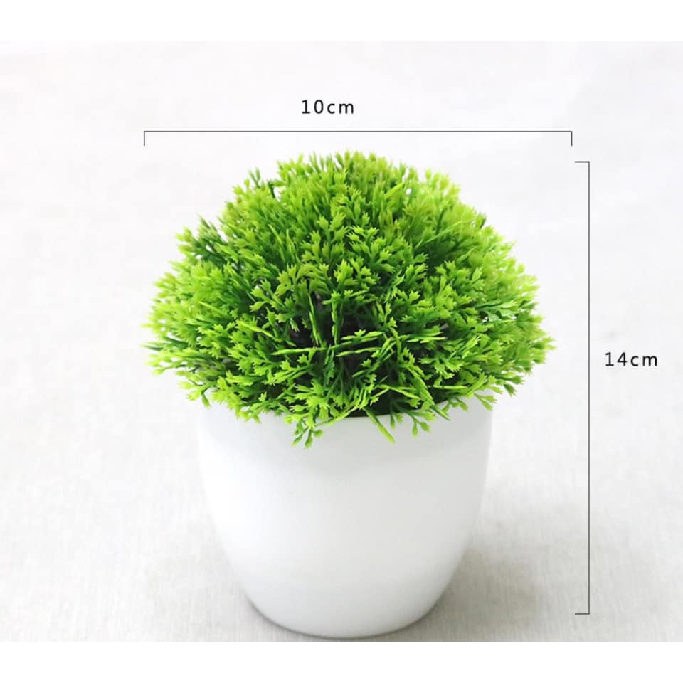 Chậu cây xanh nhân tạo để bàn trang trí, để kệ tủ độc đáo 10cm x 14cm (chọn màu)