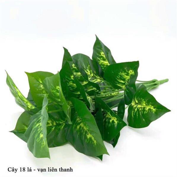 Cây Giả - Cây trầu bà, vạn niên thanh 18 Lá Cỡ To 90cm