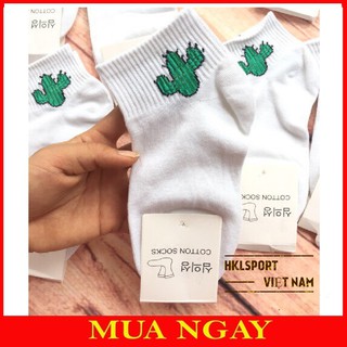 1 Đôi Tất Xương Rồng Nữ Cổ Ngắn, Vớ Hàn Quốc