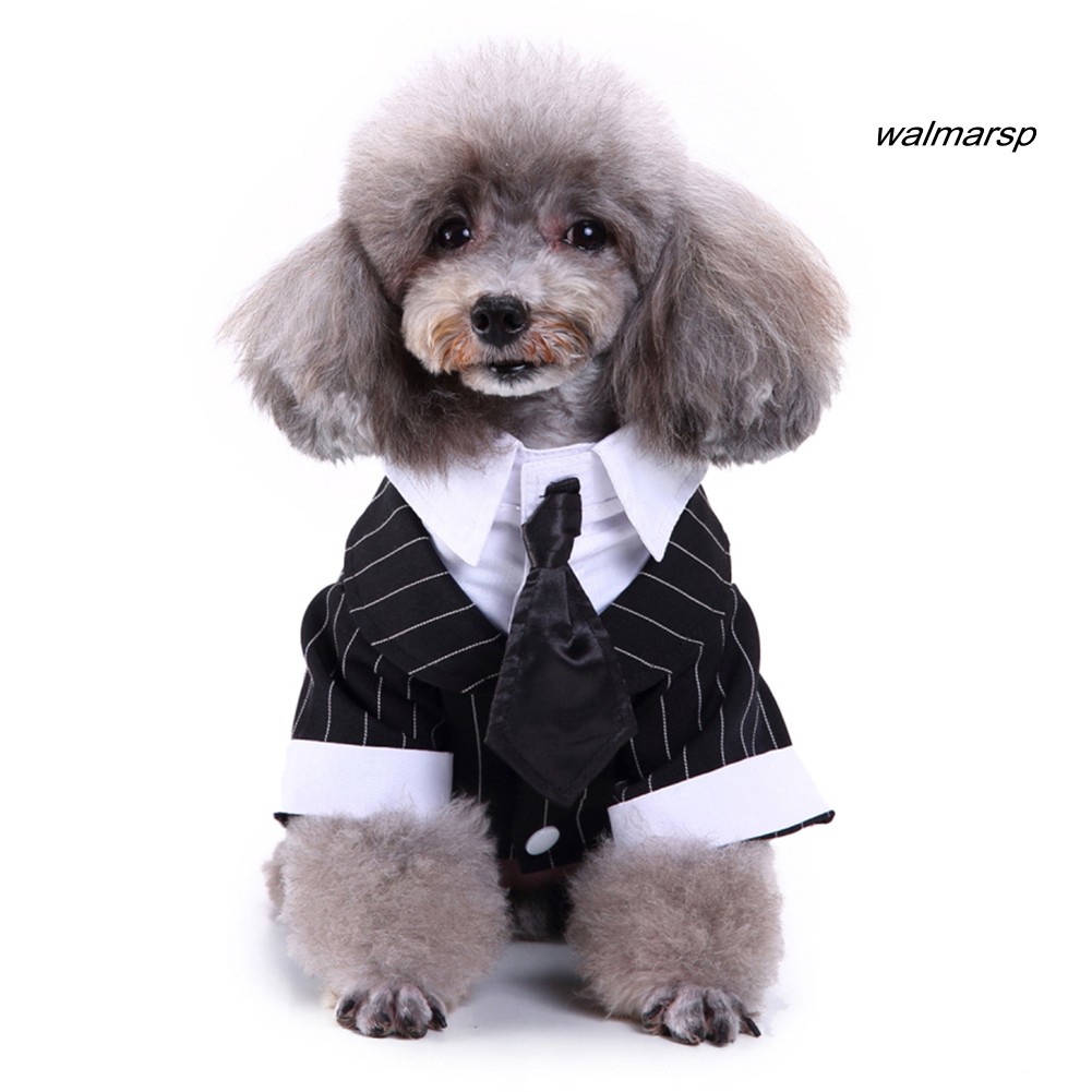 Áo Vest Nơ Thời Trang Cho Thú Cưng