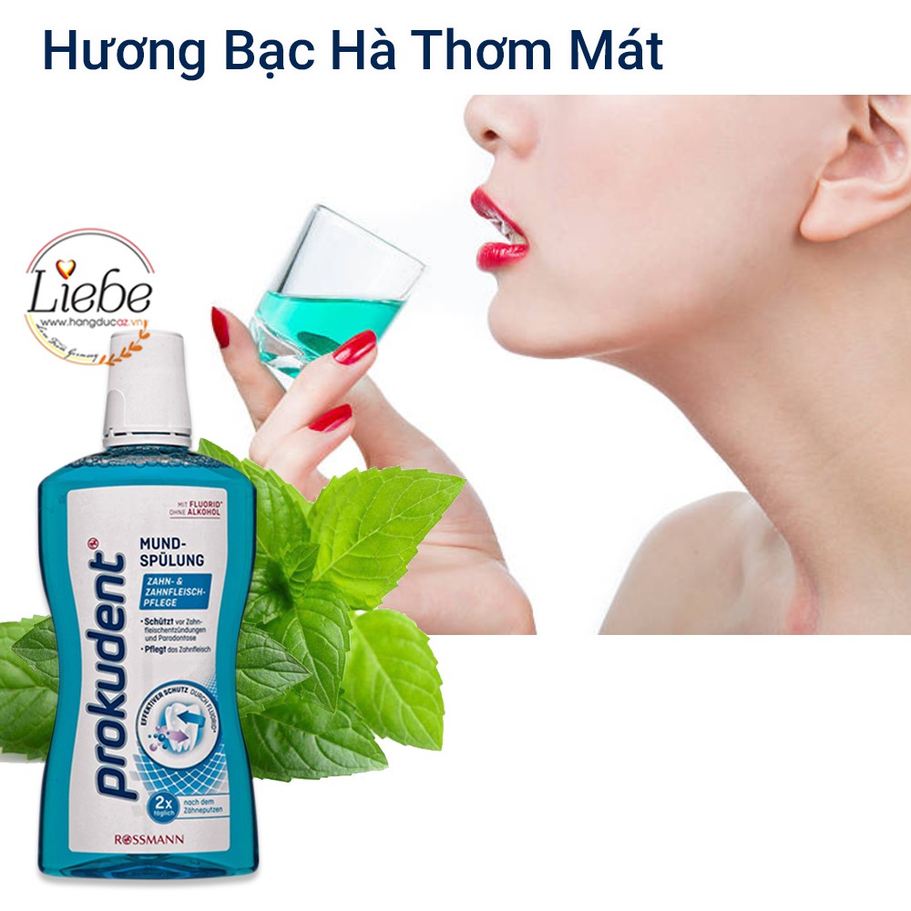 Nước súc miệng Prokudent diệt khuẩn giữ hơi thở thơm mát 500ml