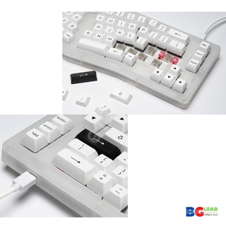 [Mã BMLT30 giảm đến 30K] Bàn phím cơ AKKO ACR Pro Alice Plus (RGB / Hotswap / AKKO CS Crystal xuyên led/ Gasket Mount)