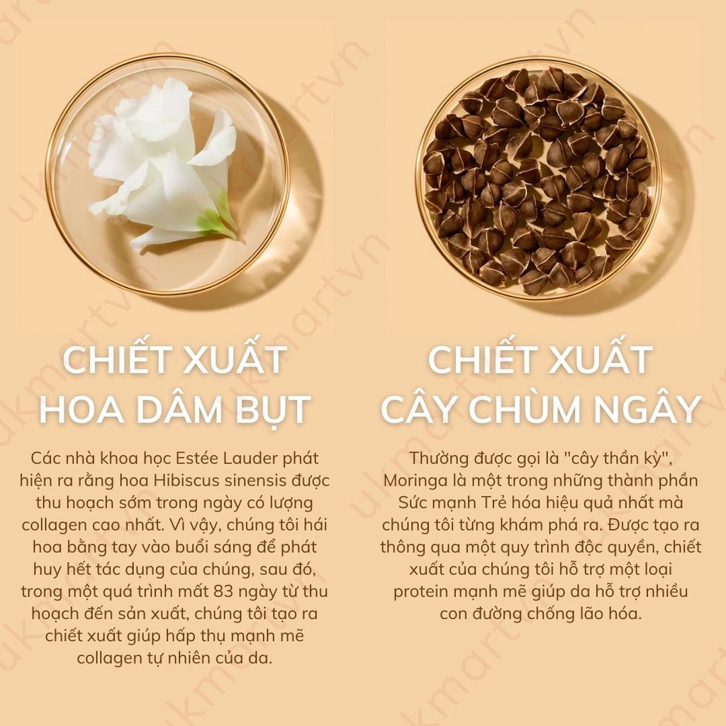 Kem Dưỡng Ẩm Chống Lão Hóa Estee Lauder Revitalizing Supreme+ Bright 15ml