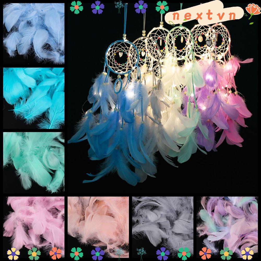 Set 100 Lông Vũ Nhiều Màu Sắc Dùng Để Trang Trí