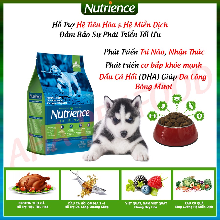 [Nhập Khẩu Canda] Thức Ăn Cho Chó Con Nutrience Original Bao 2,5kg Phát Triển Trí Não, Dầu Cá Hồi Giúp Da Lông Bóng Mượt