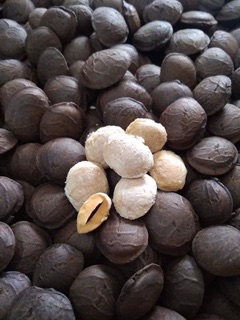 Hạt sachi sấy chín ăn liền