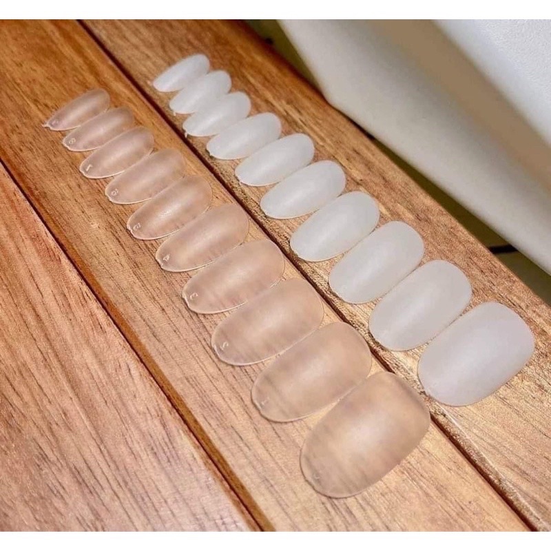 Hộp móng HSM tròn hạt na up móng giả