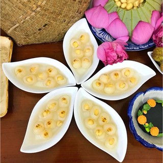 CHÈ SEN LONG NHÃN-SET 20-25 CHÉN - BẾP CHILL