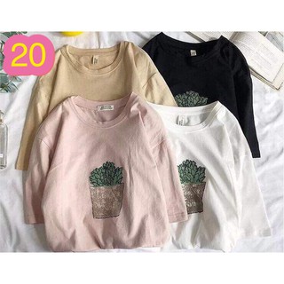Combo 3 áo phông nữ chỉ 100k