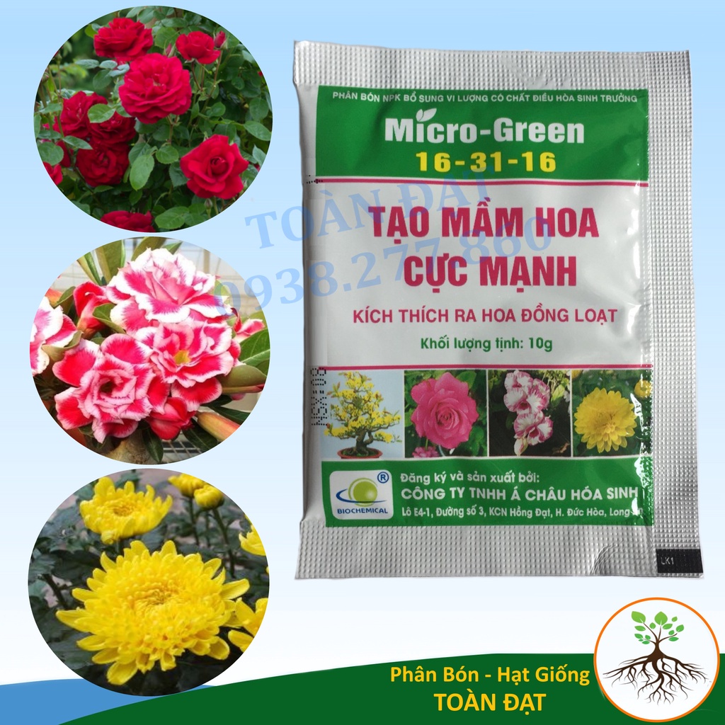 Tạo Mầm Hoa Cực Mạnh, Kích Ra Hoa Micro-Green 16-31-16 (10g)