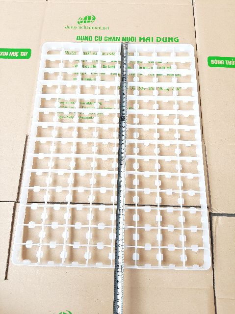 khay ấp trứng bồ câu 112 quả