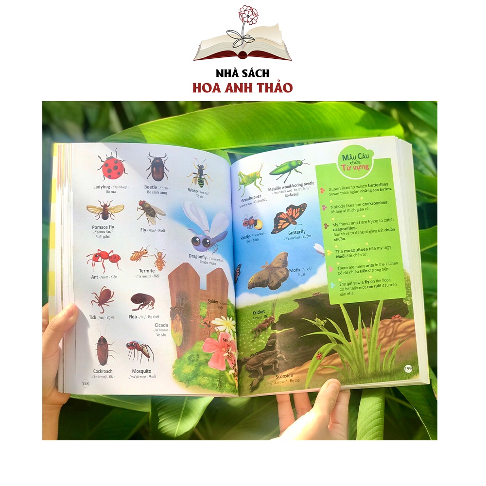 Sách 4000 từ vựng và mẫu câu tiếng anh thiết yếu