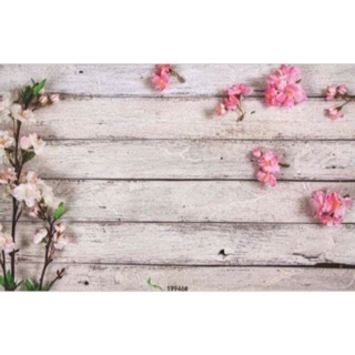 Phông nền chụp ảnh sản phẩm sắc nét 80cm x 125cm